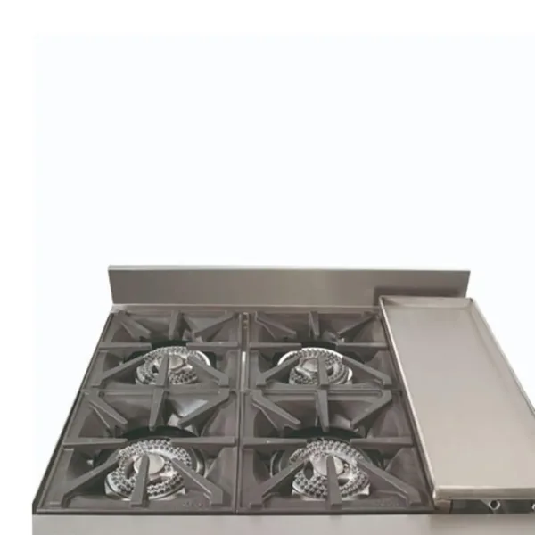 Cocina 4 platos, 1 horno, plancha churrasquera - Imagen 3