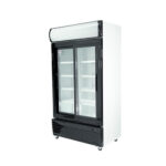 VISICOOLER 1000 LT LG1000S