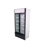 VISICOOLER 600 LT LG600B