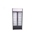 VISICOOLER 600 LT LG600B - Imagen 2