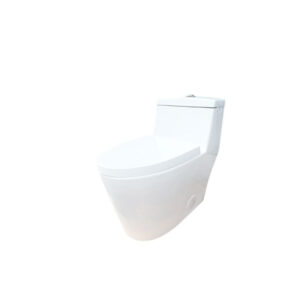 Wc - Inodoro one piece Dechaus ACT7038 Descarga 30 cms