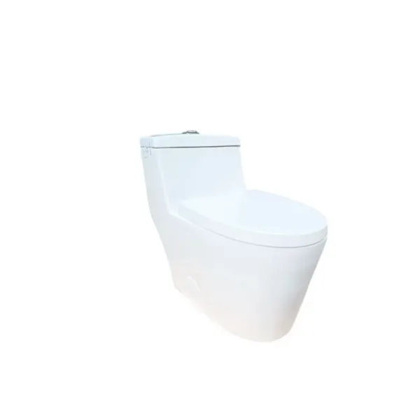 Wc - Inodoro one piece Dechaus ACT7038 Descarga 30 cms - Imagen 4