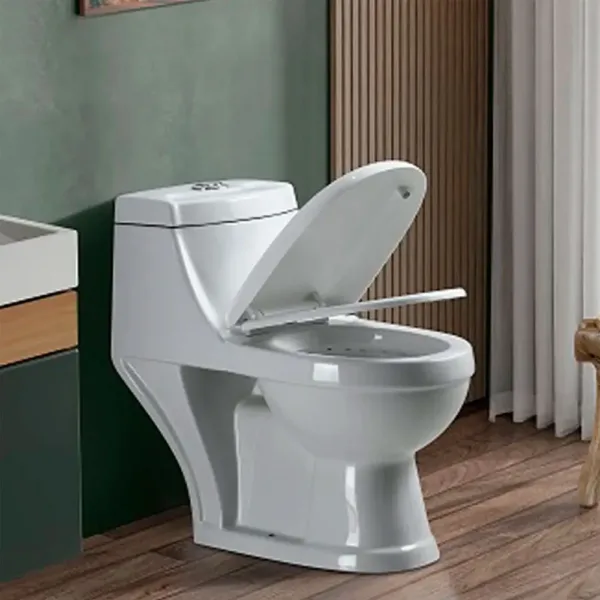 WC ONE PIECE DESCARGA 25 MODELO 2003 - Imagen 3