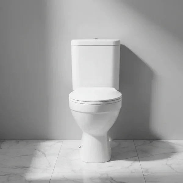 Wc 2 Piezas Descarga Muro 18 Cms San2012 64x37x76cms - Imagen 4