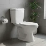 Wc 2 Piezas Descarga 30 Cms Agnus Largo 68 Cms
