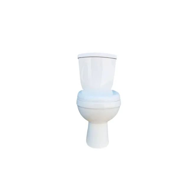 Wc 2 Piezas Bemus Dechaus Descarga Vertical 25 Cms - Imagen 5