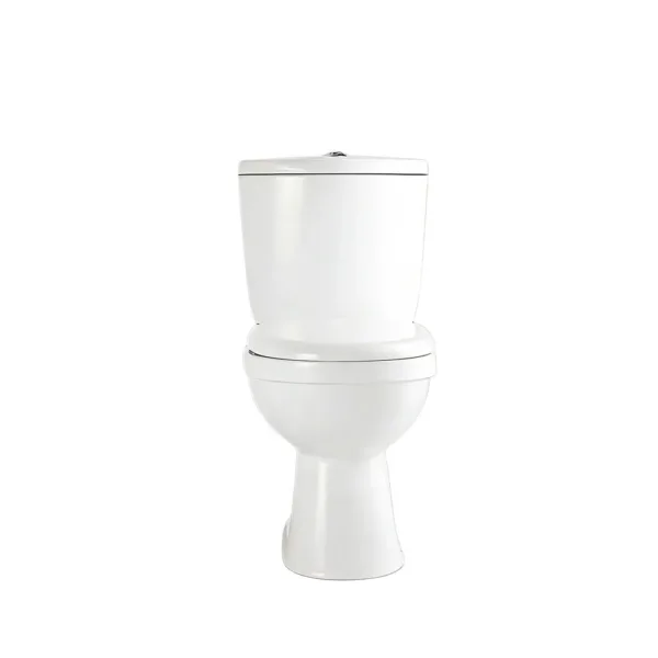 Wc 2 Piezas Bemus Dechaus Descarga Vertical 25 Cms - Imagen 3