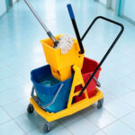 Carro Estrujador Doble Deposito 46 L